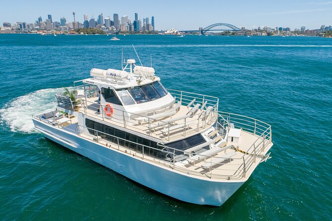 Sydney: Whale Watching Adventure Cruise - Key points to know before you book