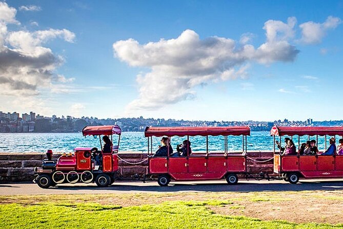 Sydney: Whale Watching Adventure Cruise - Weather can change the character of the trip
