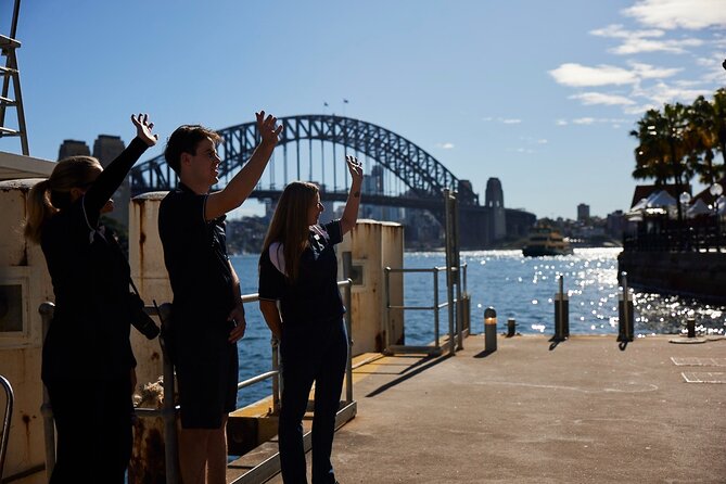 Sydney Whale-Watching Cruise Including Lunch or Breakfast - What whale watching is really like here