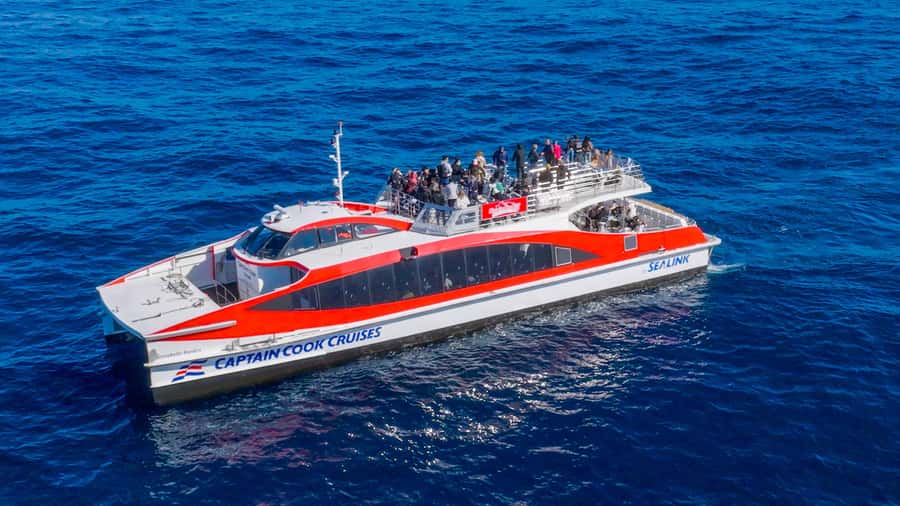 Sydney: Whale Watching & Wildlife Cruise - Is the 95% whale guarantee useful?