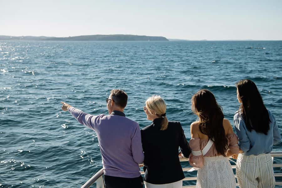 Sydney: Whale Watching & Wildlife Cruise - Following whales without crowding them