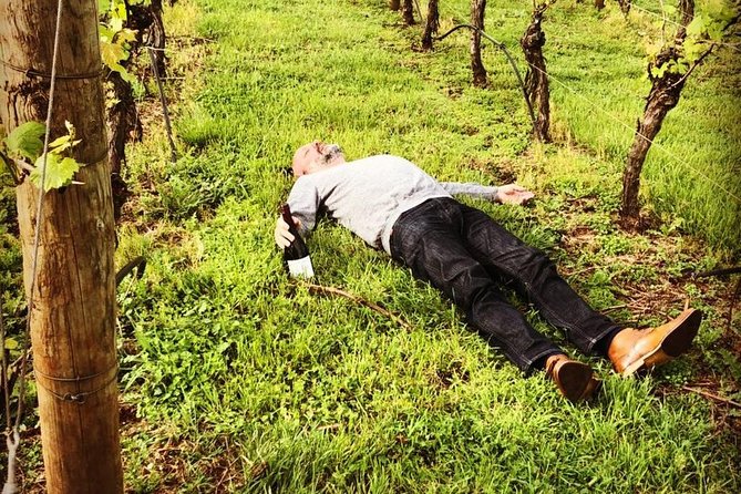Tamar Valley Wine Tour with Lunch - Is $135.56 good value?