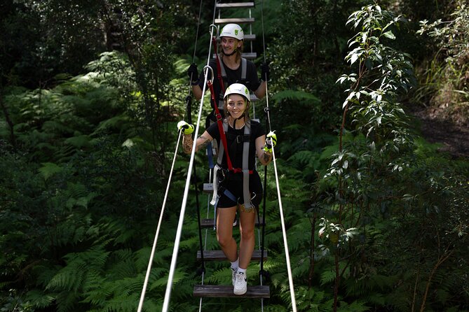 Tamborine Mountain TreeTop Challenge Adventure Park - Key points to know before you go