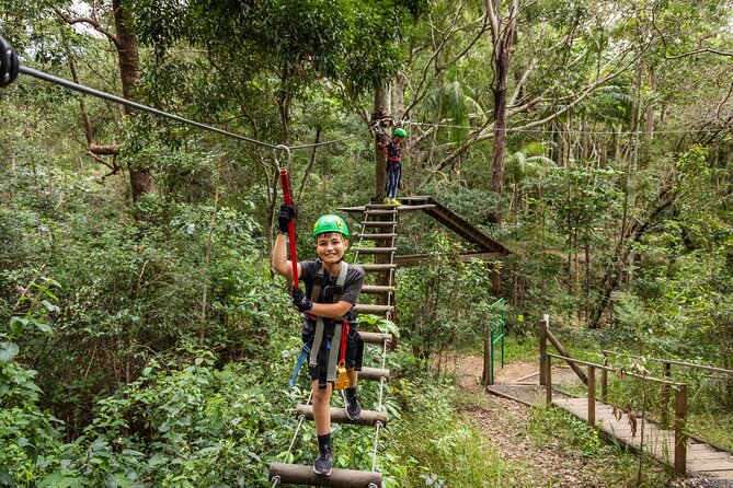 Tamborine Mountain TreeTop Challenge Adventure Park - What the Tamborine Mountain TreeTop Challenge actually feels like