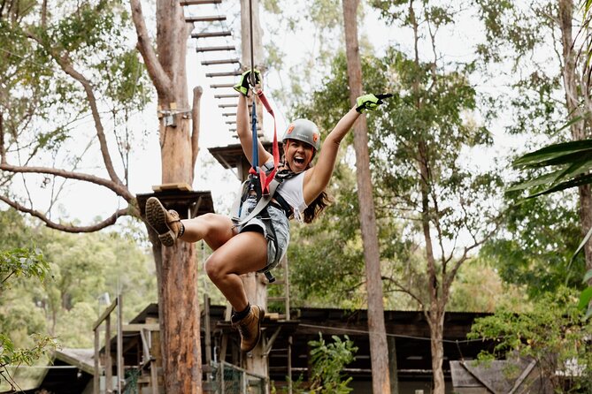 Tamborine Mountain TreeTop Challenge Adventure Park - Stop two: Thunderbird Park and arrival at the course