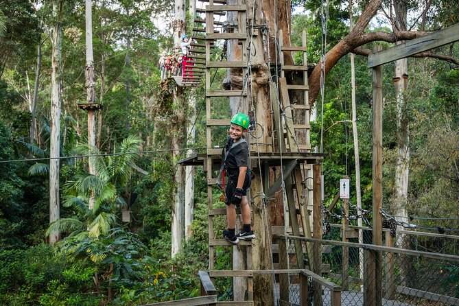 Tamborine Mountain TreeTop Challenge Adventure Park - Thirteen ziplines, plus plenty of work between them