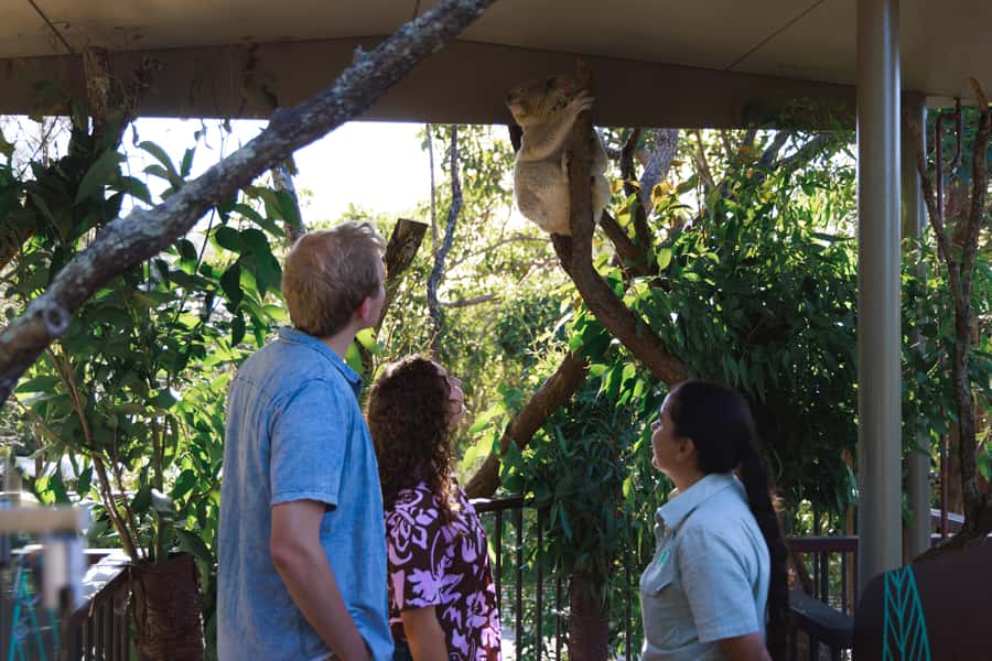 Taronga Zoo Sydney Wild Australia Experience - Why this Taronga tour feels different