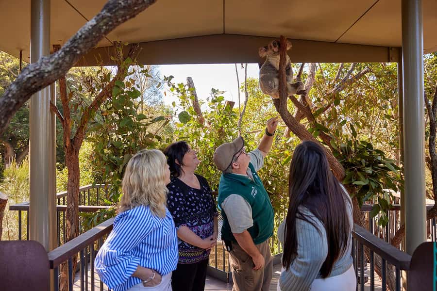 Taronga Zoo Sydney Wild Australia Experience - Small group, real keeper contact