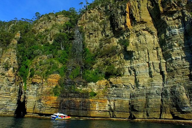 Tasman Island Cruises and Port Arthur Historic Site Day Tour from Hobart - Three hours beneath the Tasman cliffs