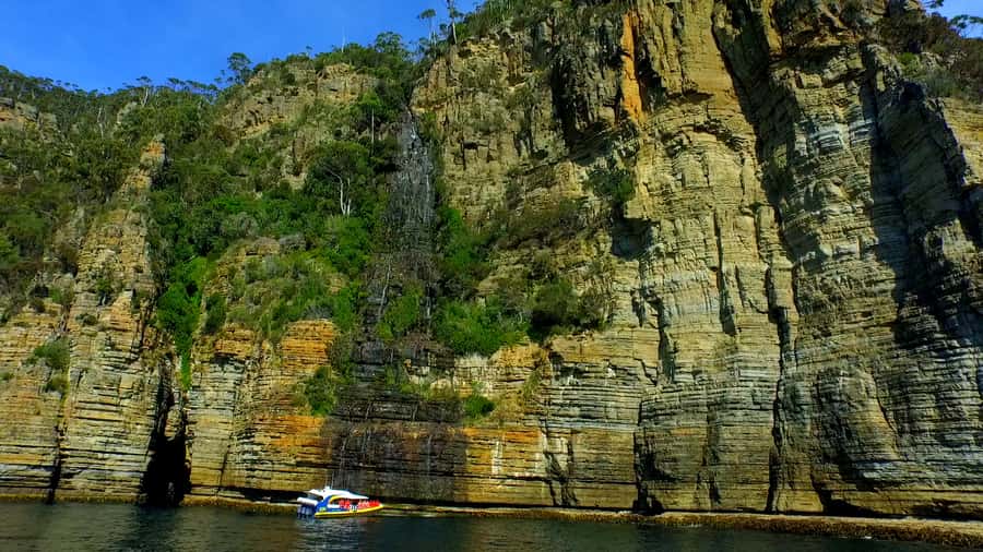 Tasman Peninsula Day Trip with Cruise & Devils from Hobart - Morning tea on the Tasman Peninsula