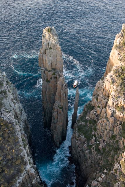 Tasman Peninsula Tour, Cruise & Port Arthur Historic Site - The guides make the long day easier