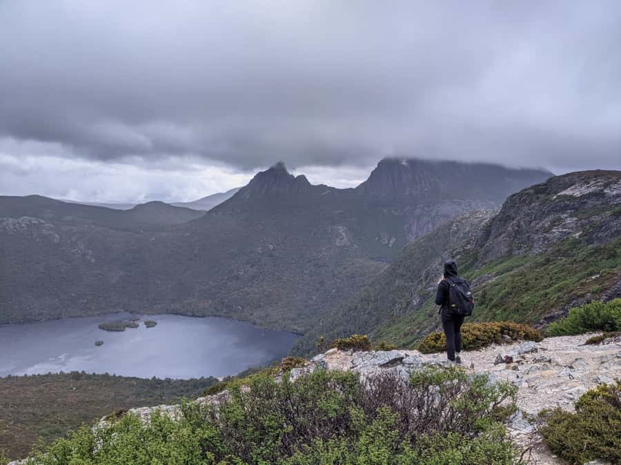 Tasmania: 7-Day West to East Tour - Key points at a glance
