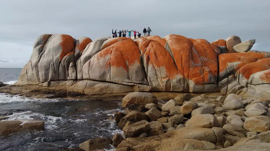Tasmania: 7-Day West to East Tour - Day 2: Rainforest, Henty Sand Dunes, and Ocean Beach