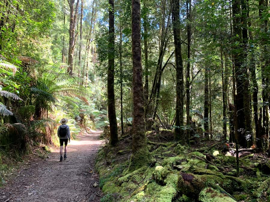 Tasmania: 7-Day West to East Tour - Day 5: Wineglass Bay and Freycinet National Park