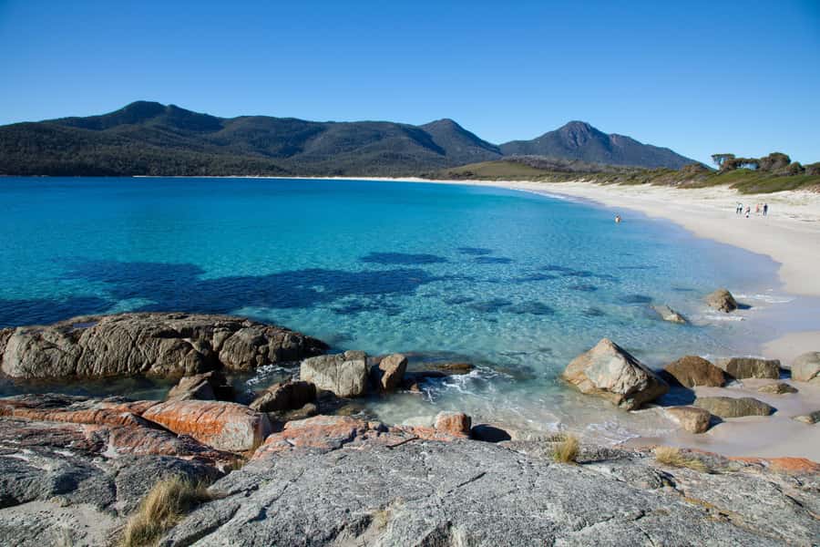 Tasmania: Wilderness and Wildlife Guided 6-Day Tour - Why six days works for Tasmania