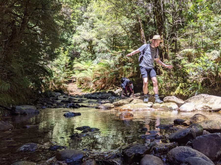Tasmania: Wilderness and Wildlife Guided 6-Day Tour - Day 3: Cradle Mountain by foot