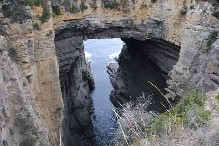 Tasmania: Wilderness and Wildlife Guided 6-Day Tour - Day 6: Bonorong, Richmond, and kunanyi