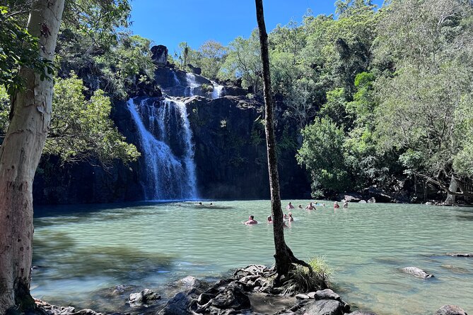 The Airlie Sightseeing Bus – (Cruise-Ship Friendly) - Cedar Creek Falls: beautiful, but never guaranteed to flow