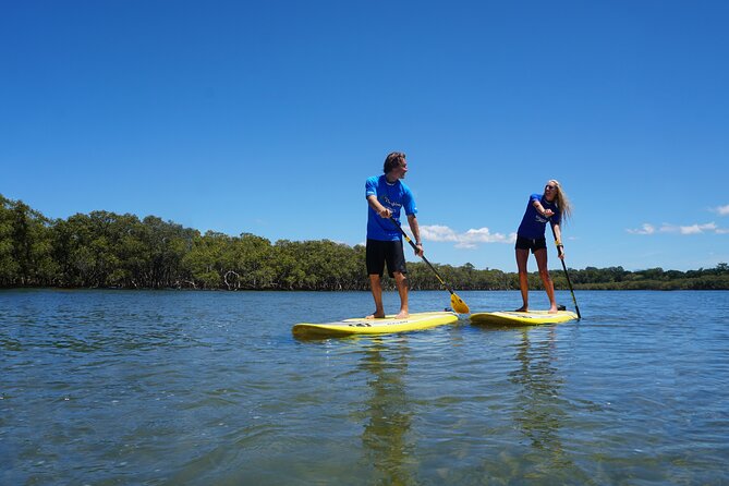 The Byron Bay Sea Kayak Tour - Wildlife watching from a low seat