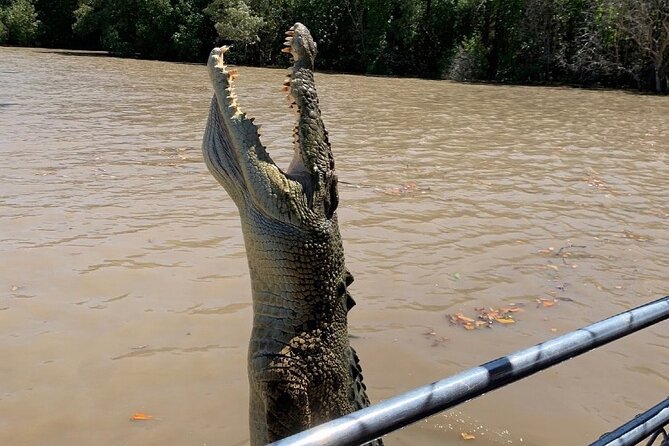 The Croc Bus to the Famous Jumping Crocodile Cruise - Why the Adelaide River crocodile cruise is the main attraction