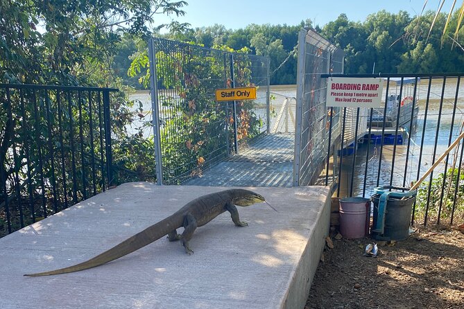 The Croc Bus to the Famous Jumping Crocodile Cruise - The Croc Bus makes a remote outing easy