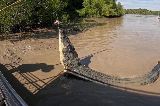 The Croc Bus to the Famous Jumping Crocodile Cruise - What the guides add to the four-hour trip