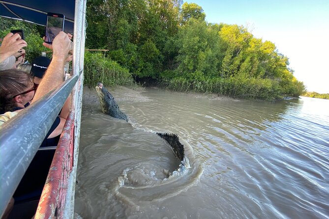 The Croc Bus to the Famous Jumping Crocodile Cruise - Should you book this crocodile tour?