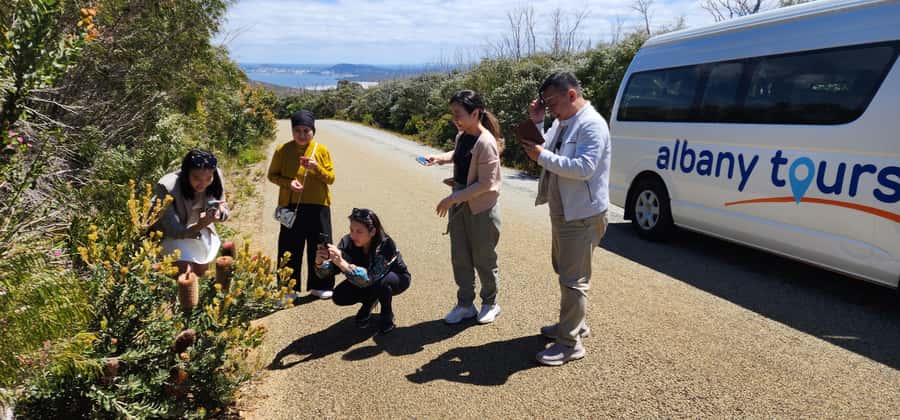 The Gap & Natural Wonders Tour - What the 210-minute schedule feels like