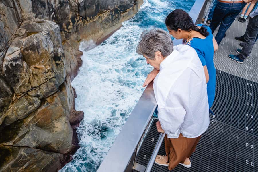 The Gap & Natural Wonders Tour - A short walk through Torndirrup National Park