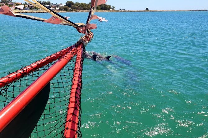 The Pirate Cruise in Mandurah on Viator - What happens during the 45-minute cruise