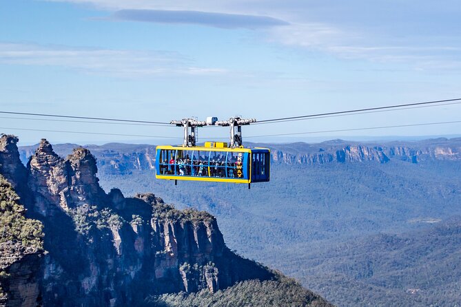 The Ultimate Sydney Attractions Pass - Paddling, cycling, archery, and whale watching