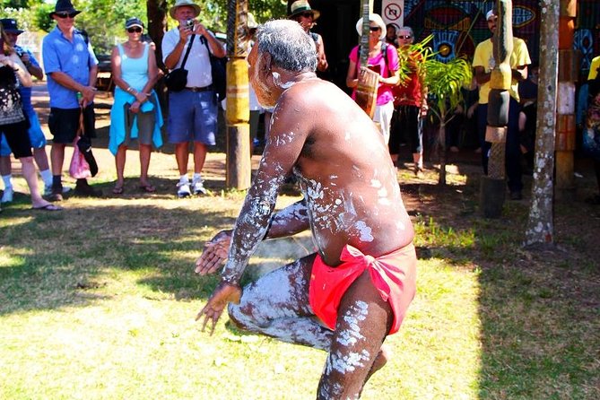 Tiwi By Design Day Tour - Why the Tiwi Islands make a strong day trip from Darwin