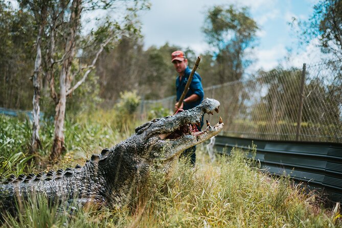 Top End Safari Camp Day Tour - Meet the rescued crocodiles