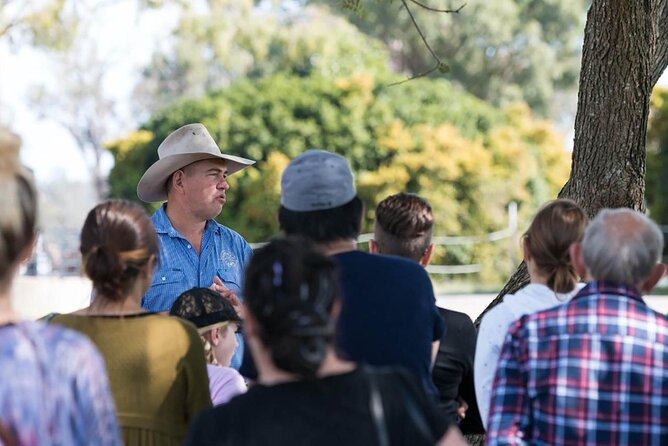 Tour, Taste & Camel Encounter - Meeting the camels and learning their story