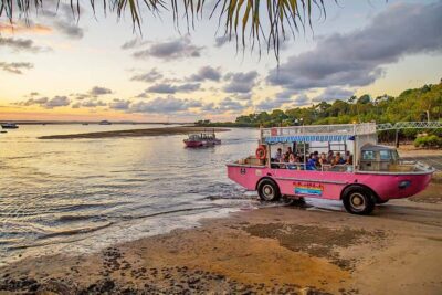 Town 1770: Afternoon Coastline Tour