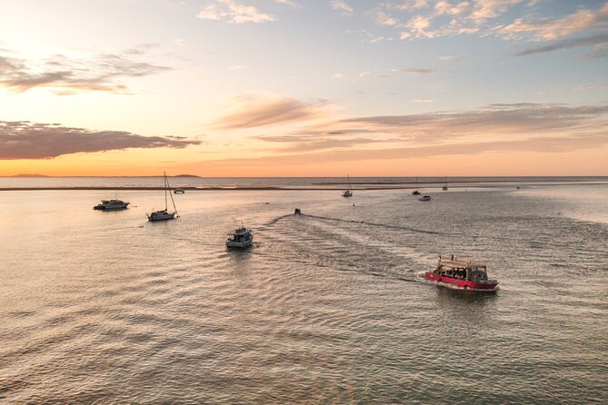 Town of 1770 Afternoon Cruise - Key points to know before you book