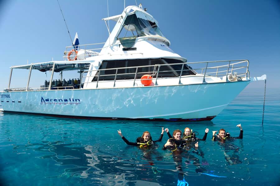 Townsville & Magnetic Island: MOUA & Great Barrier Reef Trip - Why the Museum of Underwater Art is the main event