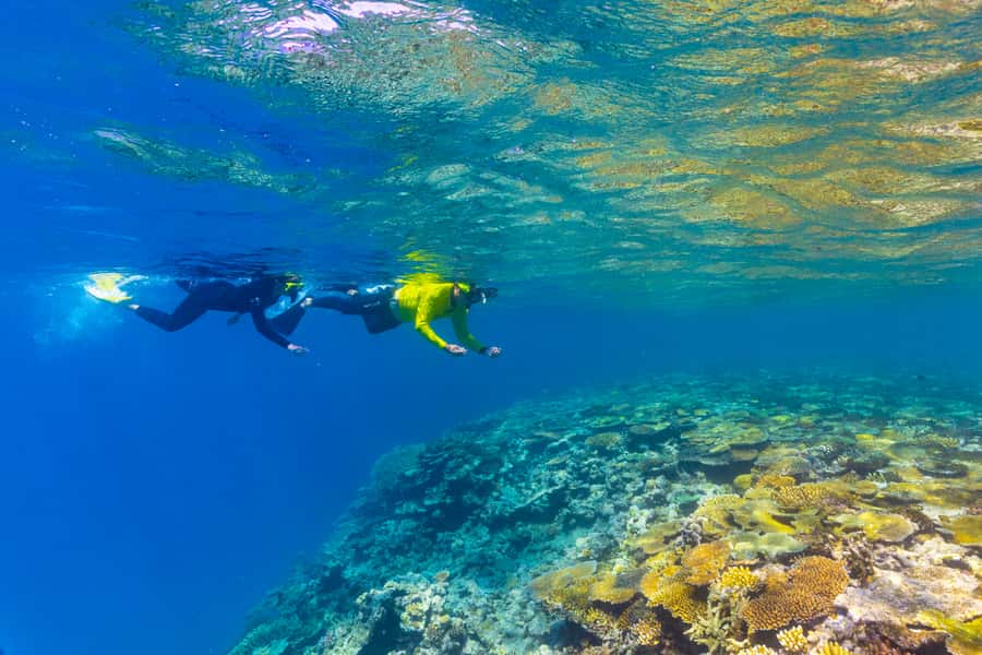 Townsville & Magnetic Island: MOUA & Great Barrier Reef Trip - Exploring The Coral Greenhouse and Ocean Sentinel