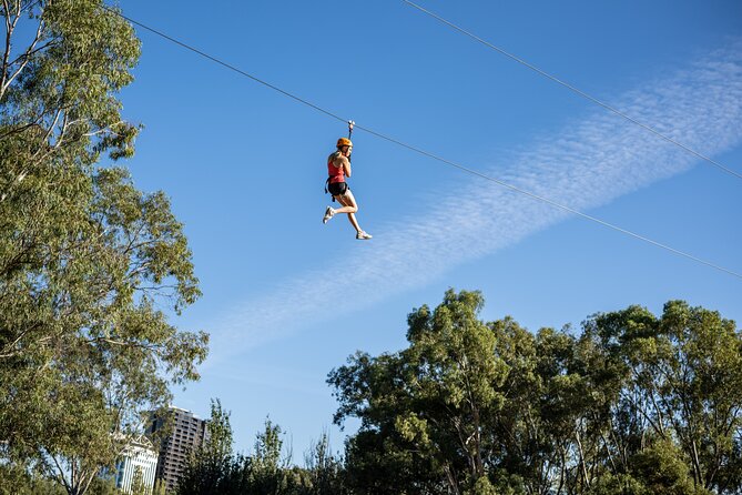 Tree Top Activity for Thrill Seekers and Adventurers in Adelaide - Key points to know before you climb