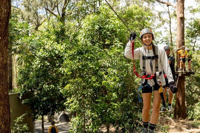 TreeTop Challenge Currumbin Wildlife Park - Key points to know before you book