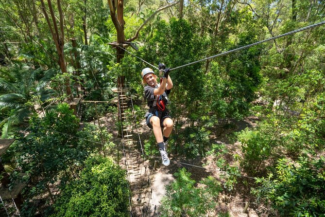 TreeTop Challenge Currumbin Wildlife Park - Fourteen ziplines, including a wildlife view