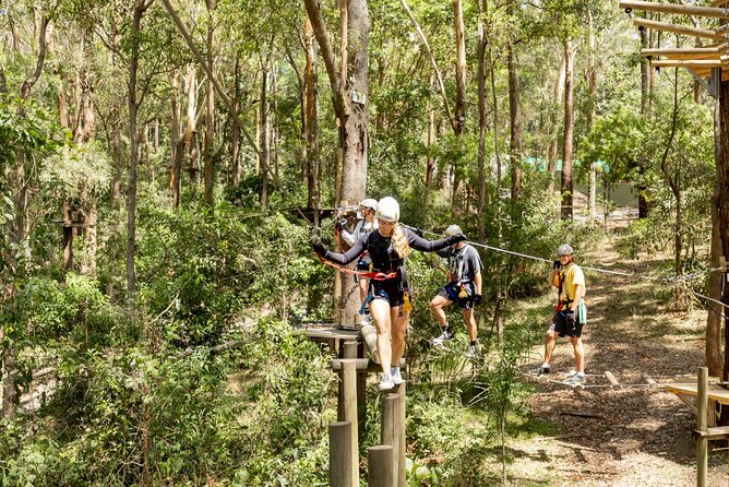 TreeTop Challenge Currumbin Wildlife Park - Starting with the two green courses