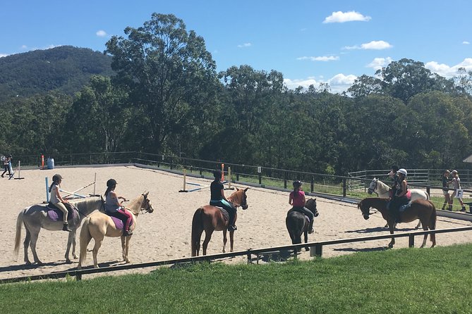 Trevena Glen 1hr Animal Tour - A good choice for toddlers and preschoolers