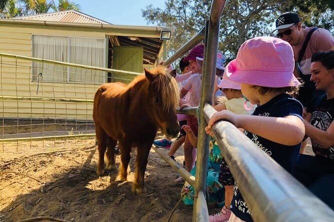 Trevena Glen 1hr Animal Tour - How to get the most from the hour