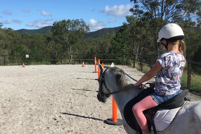Trevena Glen 1hr Animal Tour - Why the small group matters for children
