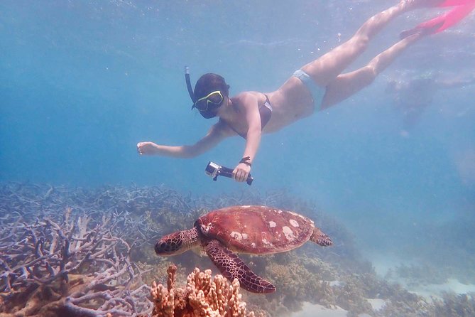 Turtle Tour - Ningaloo Reef Half Day Sea Kayak and Snorkel Tour - Who should book this tour?