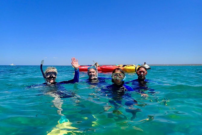 Turtle Tour - Ningaloo Reef Half Day Sea Kayak and Snorkel Tour - Snorkeling from the kayak-only moorings