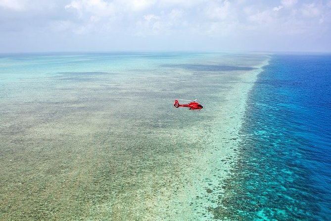 Ultimate Great Barrier Reef and Rainforest 45-minute Helicopter Tour - Weather, comfort, and weight rules