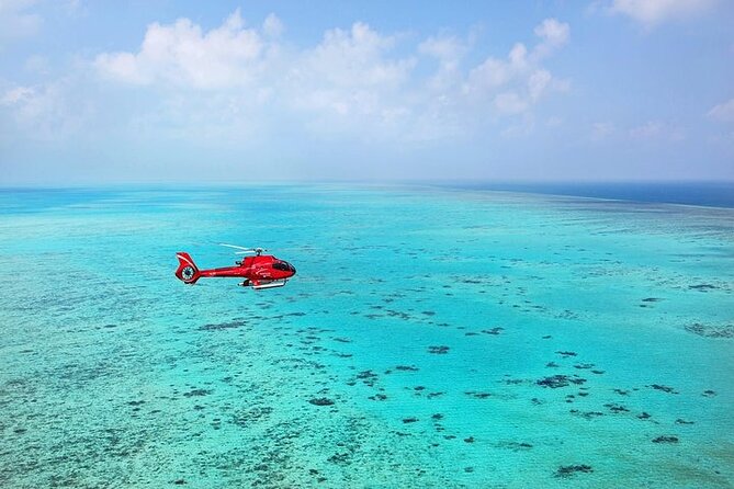 Ultimate Great Barrier Reef and Rainforest 45-minute Helicopter Tour - Who will enjoy this flight most