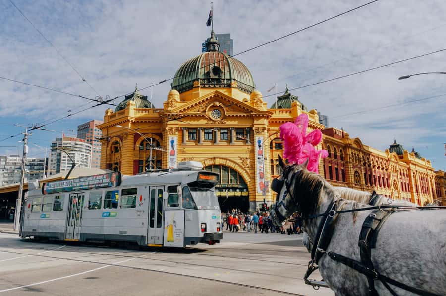 Ultimate Melbourne Walking Tour: History, Laneways & Culture - Bourke Street Mall and the State Library